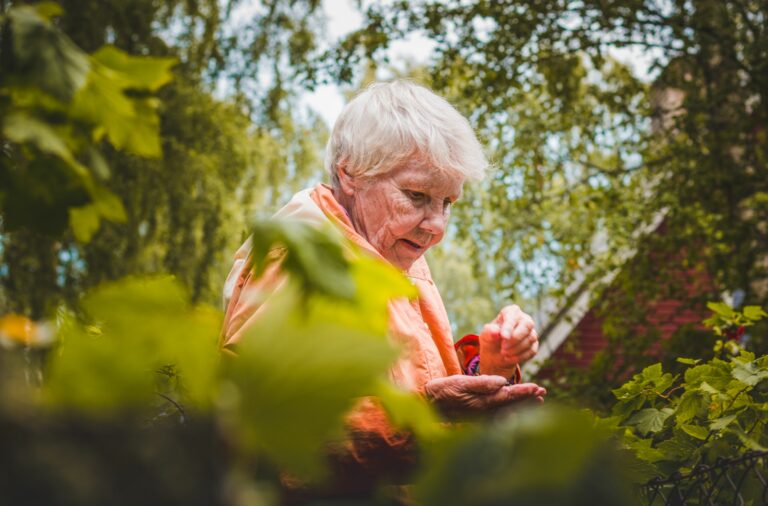 Fellesprosess møre og romsdal